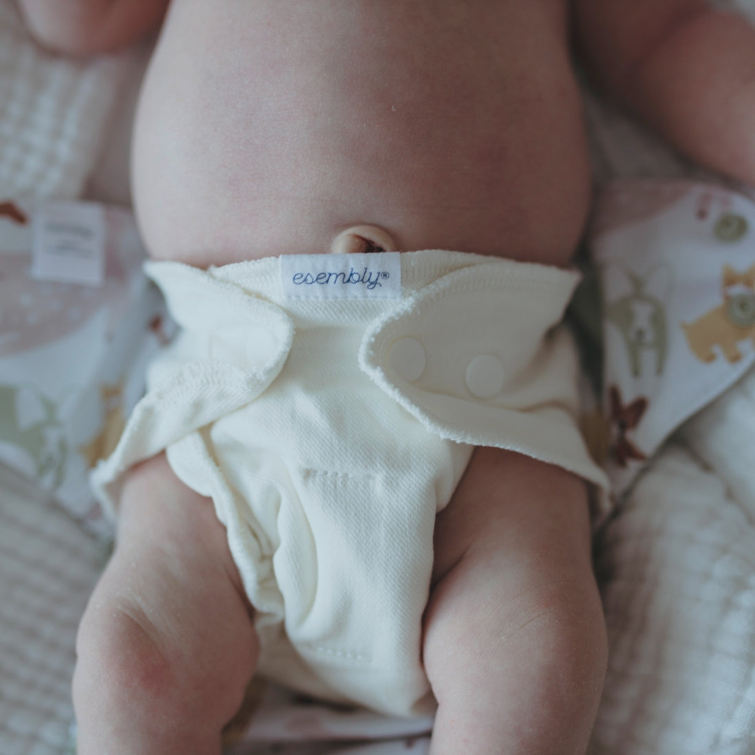 Inner - Cloth Diaper