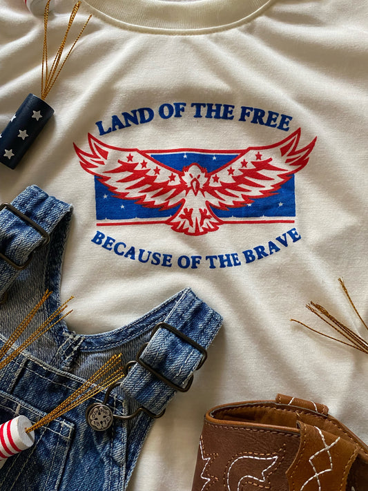 "Land of the free, home of the brave" graphic t-shirt