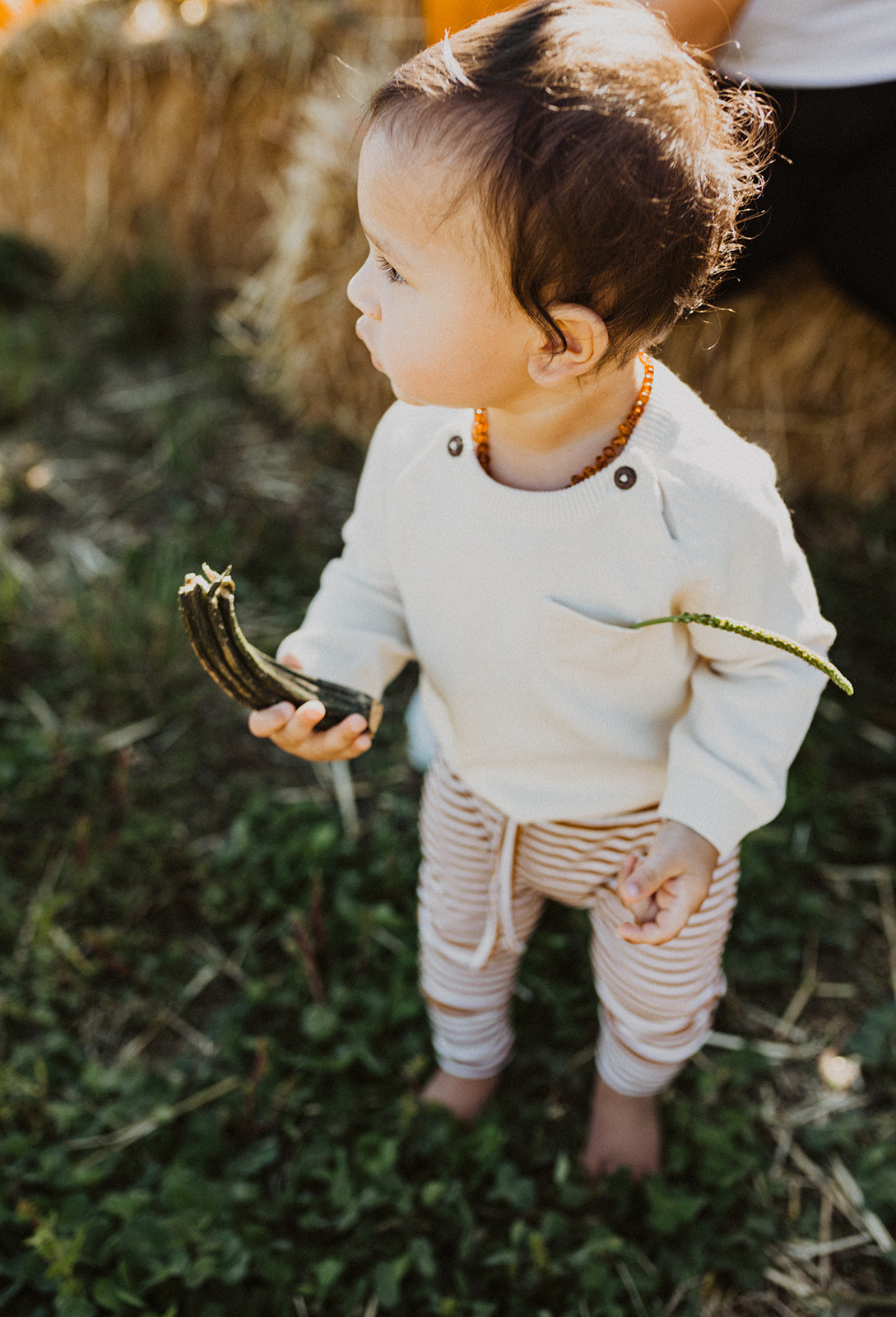 Milan Knit Raglan Pullover - Noelle Childrens Boutique