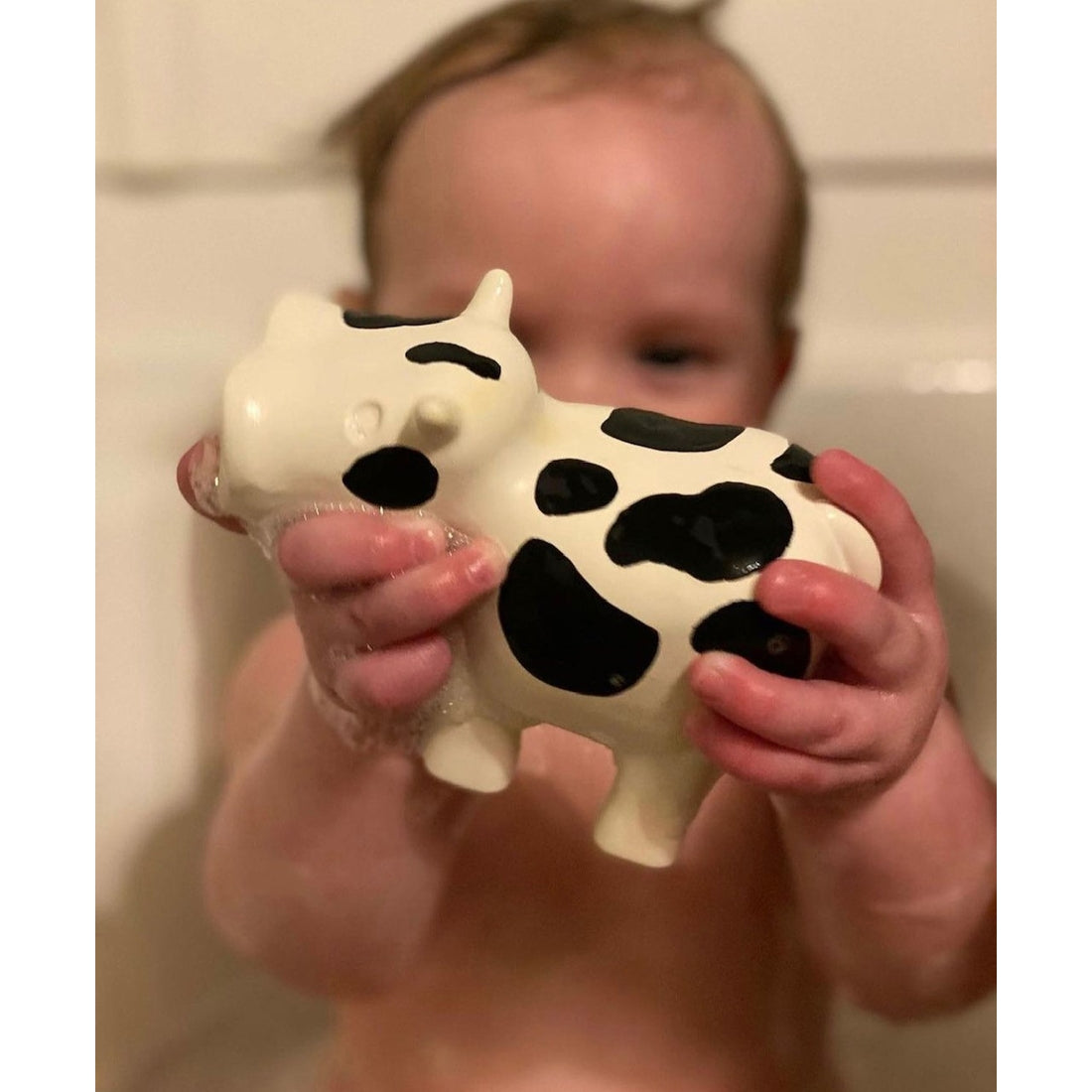 Barnyard Bath Pals - Farm Themed Set/3