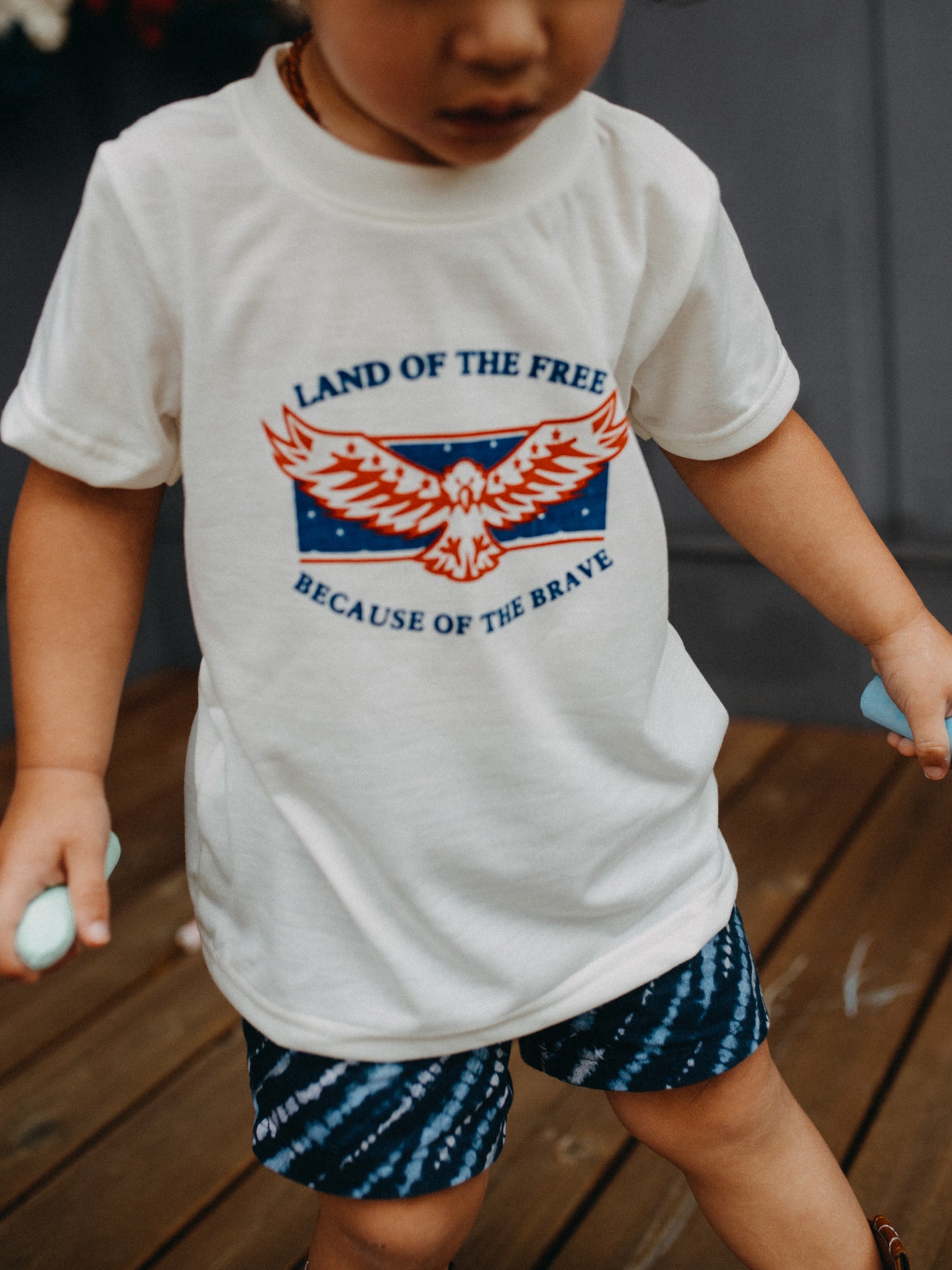 "Land of the free, home of the brave" graphic t-shirt